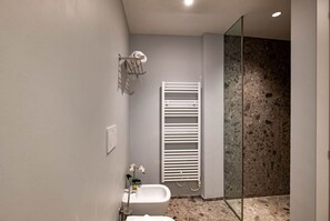 Regadera, secadora de cabello, bidet, toallas 