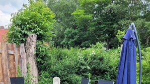A patio with a table and chairs, surrounded by greenery and a wooden fence. - Apartment "Dat Nüst", terrace, garden, mod. bath (Manslagt)