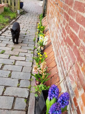 Property grounds - Apartment "Dat Nüst", terrace, garden, mod. bath (Manslagt)