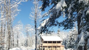 Ett snötäckt landskap med en byggnad som har ett stort fönster och en dörr, omgiven av träd.