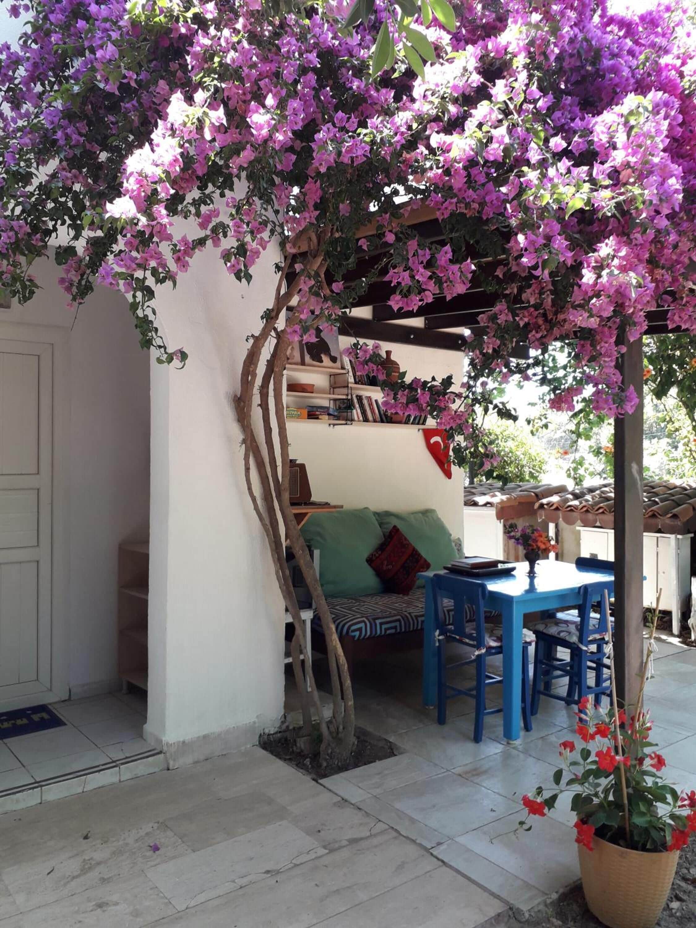 Una zona patio con un tavolo e sedie blu, un muro bianco e una libreria.