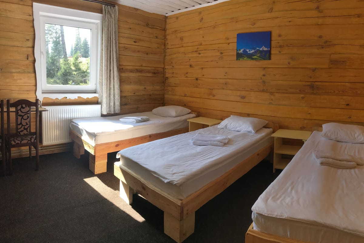 Standard Triple Room | Hypo-allergenic bedding, free WiFi