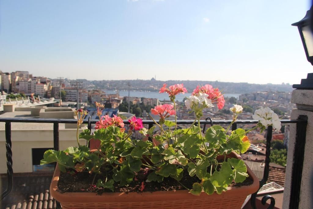 Foto - Euro Plaza Hotel - Taksim Pera