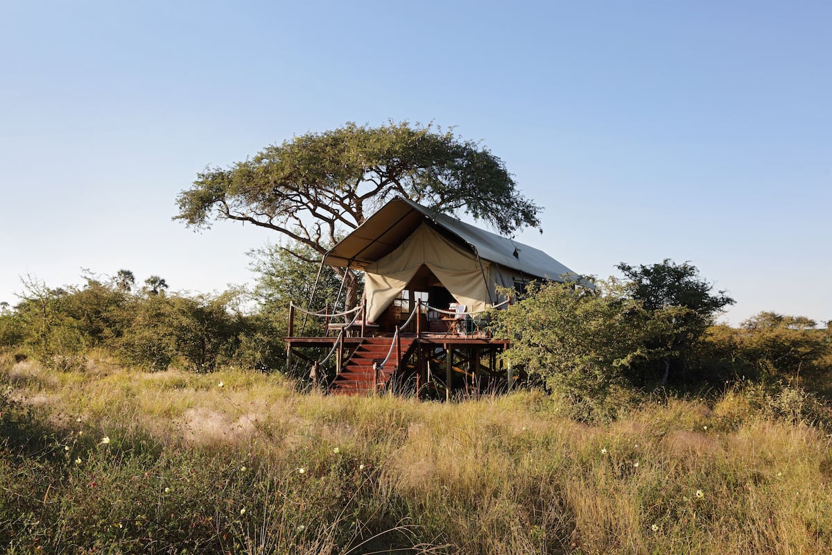 A safari tent with a wooden deck and stairs, surrounded by natural vegetation.