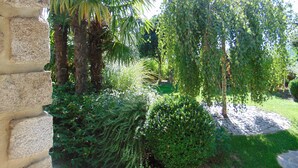 A stone wall, a palm tree, and a weeping willow in a garden.