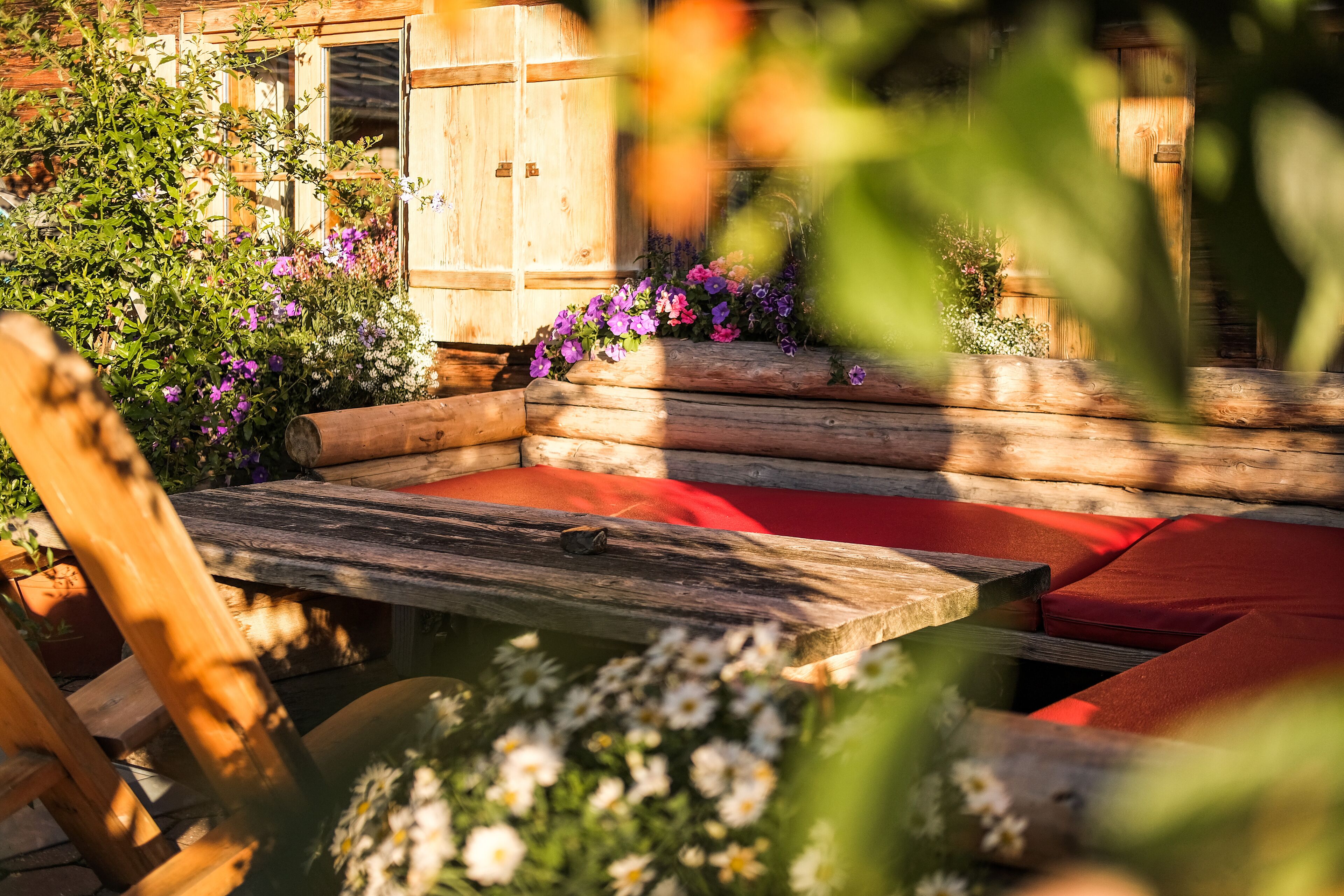 A wooden bench with red cushions, surrounded by flowers and plants.