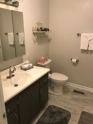 Suihkun ja ammeen yhdistelmä, hiustenkuivaaja, pyyhkeet, sampoo