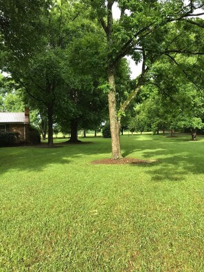 Escape to a serene park setting surrounded by mature trees and a well-maintained lawn.