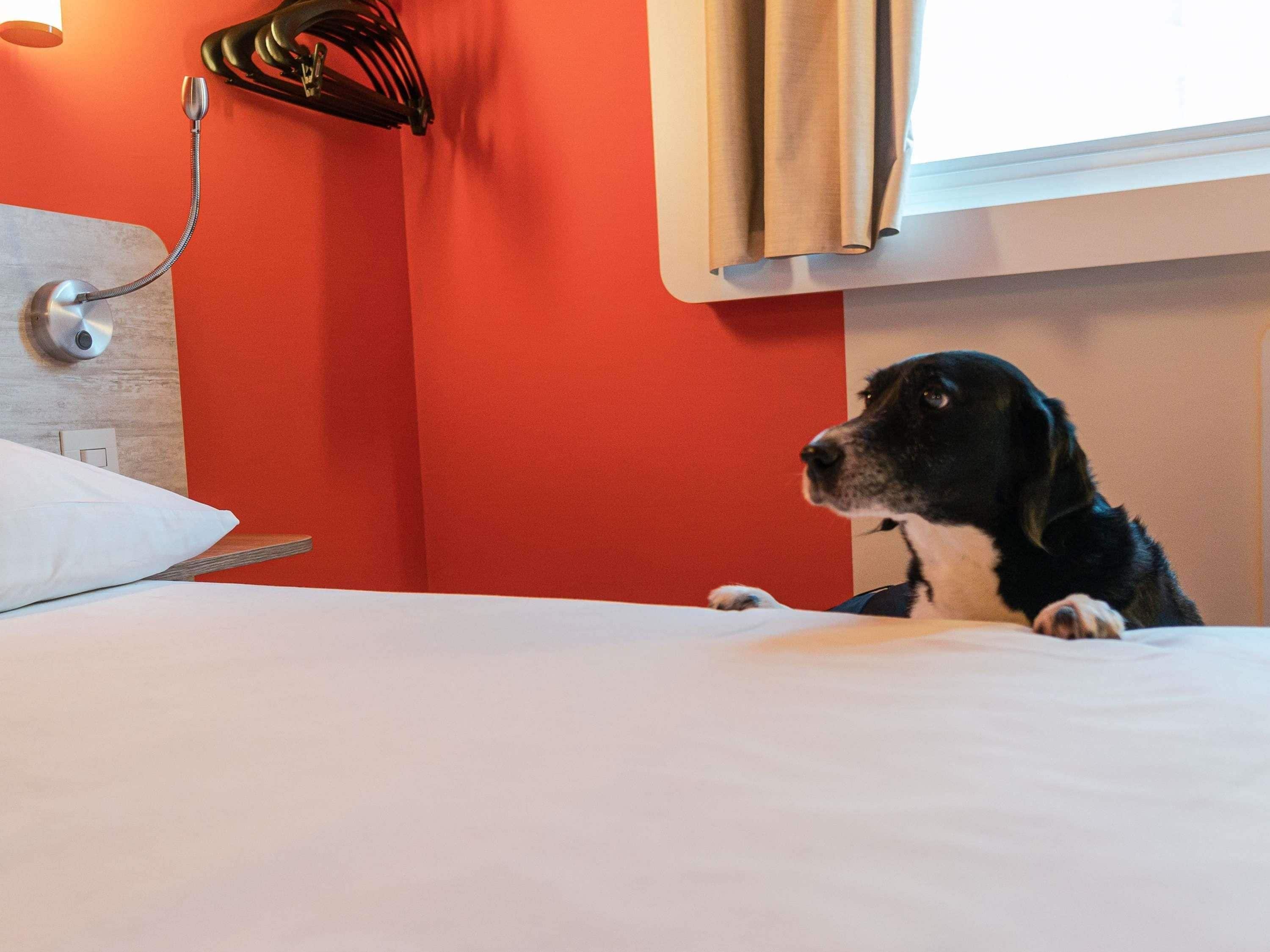 Habitación de hotel con cama, lámpara de pared y ventana con cortinas.