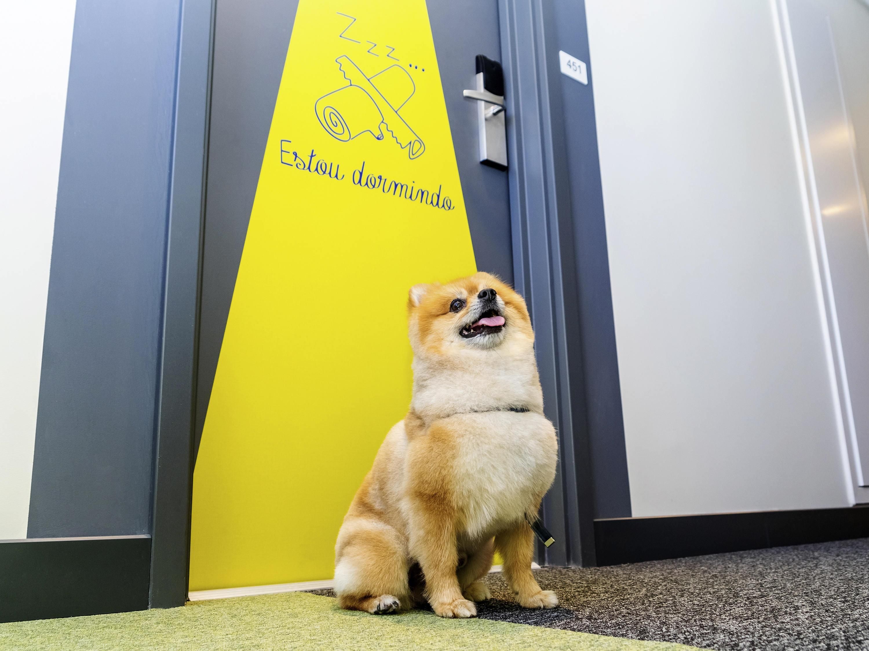 A dog sitting in front of a door with a yellow sign that reads 'Zzz... Estou dormindo.'