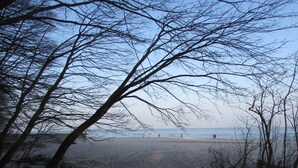 A beach with bare trees and a clear sky. - Willa Wiktoria (Wladyslawowo)