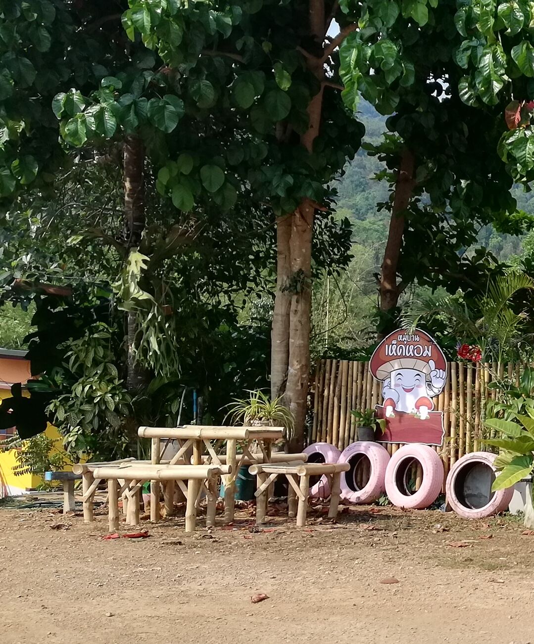 บริเวณภายนอก