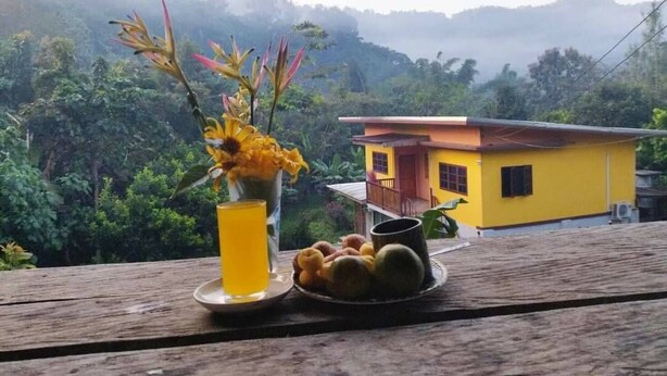 Una casa amarilla con un balcón, una mesa de madera con un vaso de líquido amarillo y un plato de frutas, y vista a un paisaje verde y exuberante.