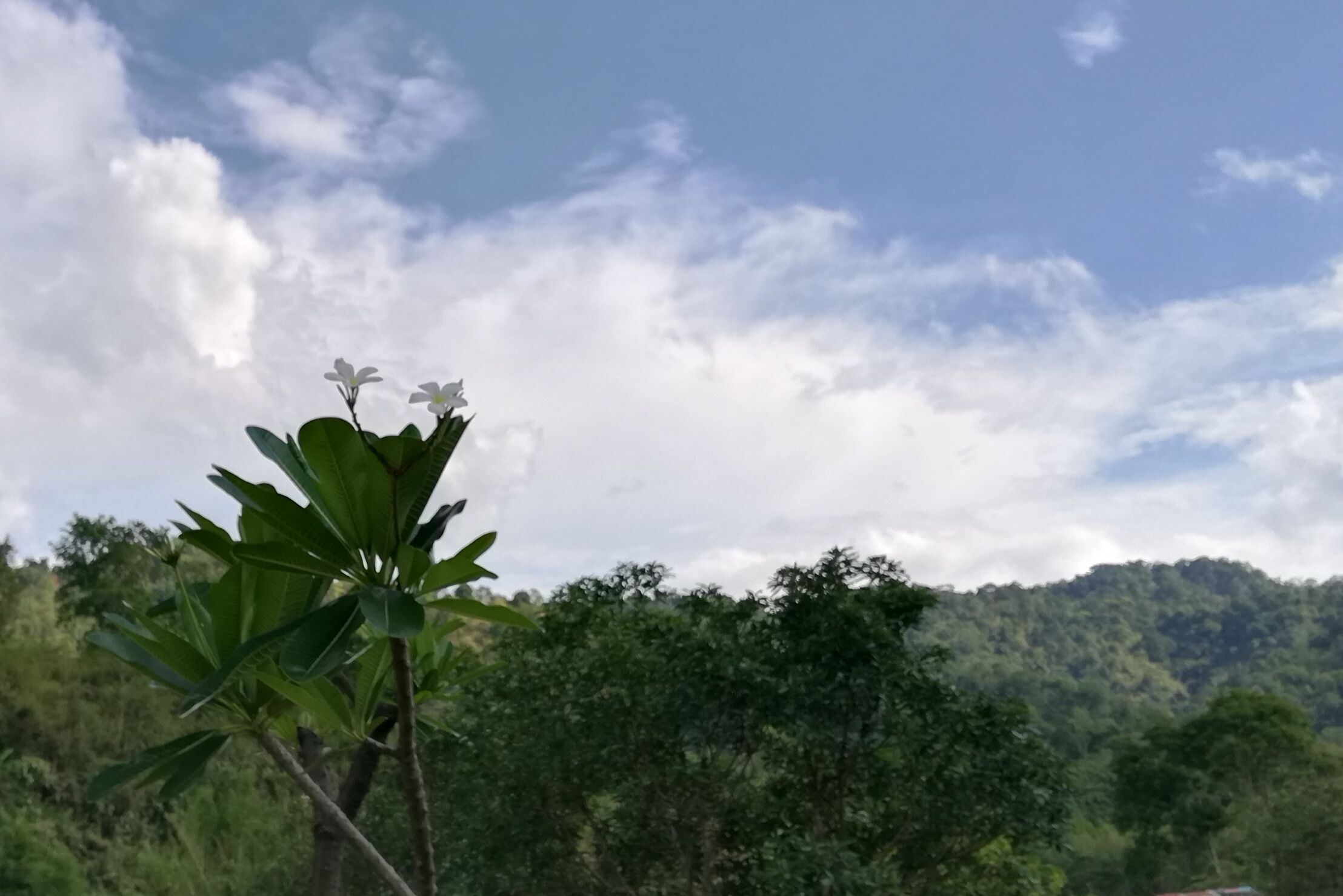 Un paysage naturel avec un ciel dégagé et une colline en arrière-plan.
