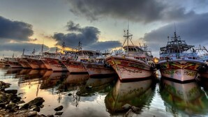 A row of boats docked at a harbor with a cloudy sky in the background. - Dolphin Ras Elbar (Damietta)