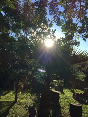 Garden - Rancho Ecologico Oasis de Luz (Abadiania)