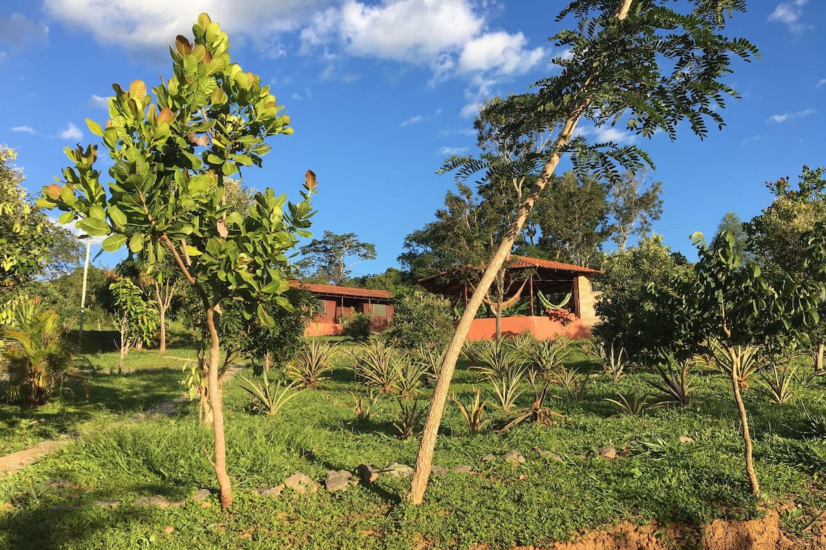 A rural setting with a house surrounded by lush greenery and trees.