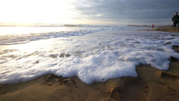 Una playa con olas y huellas en la arena.