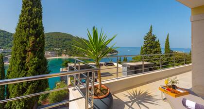 Luxury Apartment Mr. Perfect