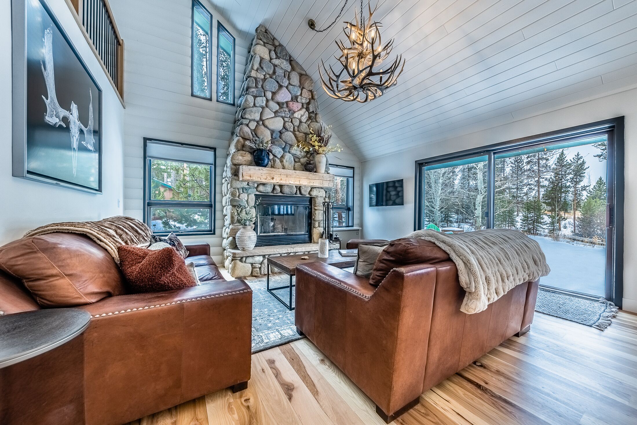 TV, fireplace, DVD player, video library