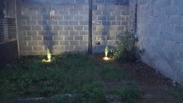 A dimly lit outdoor area with a brick wall, some greenery, and a small light source on the ground.