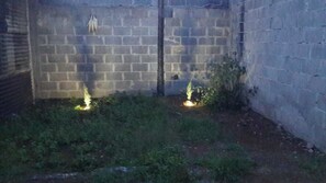 Un espacio exterior tenuemente iluminado, con un muro de ladrillo, algo de vegetación y una pequeña fuente de luz en el suelo.