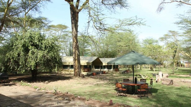 An outdoor seating area with a table and chairs under a canopy, surrounded by trees and a stone pathway. - Kikopey Beach Camp (Gilgil)