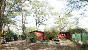 A rural property with two red cabins, a dirt path, and a cow in the foreground. - Kikopey Beach Camp (Gilgil)