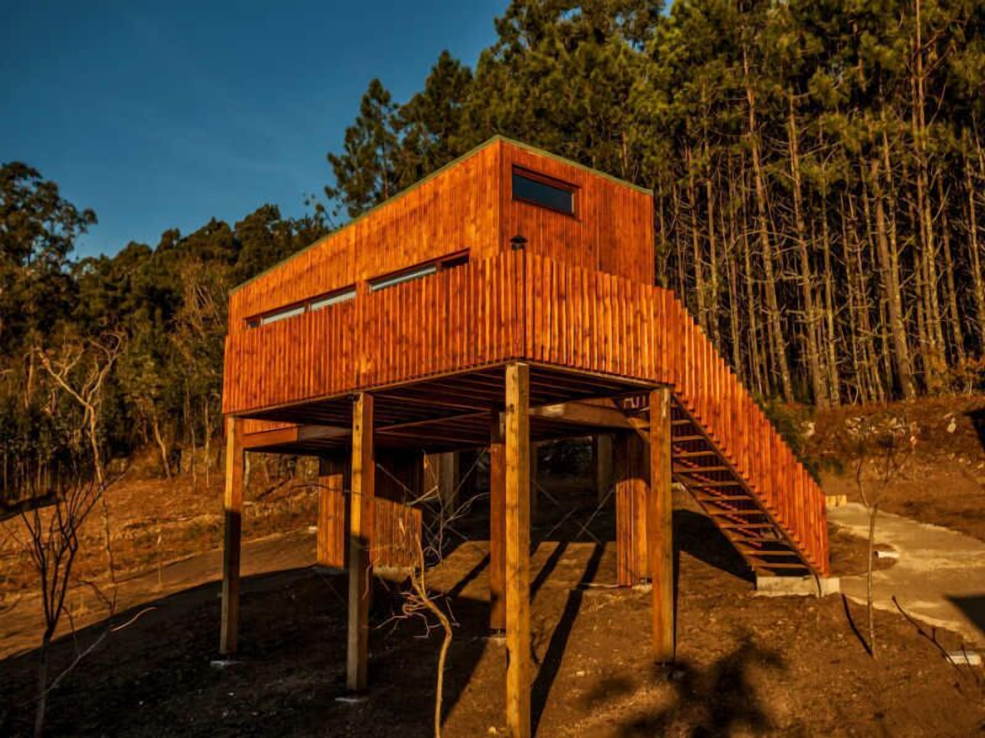 Una casa en árbol de madera con una escalera, rodeada de un bosque.
