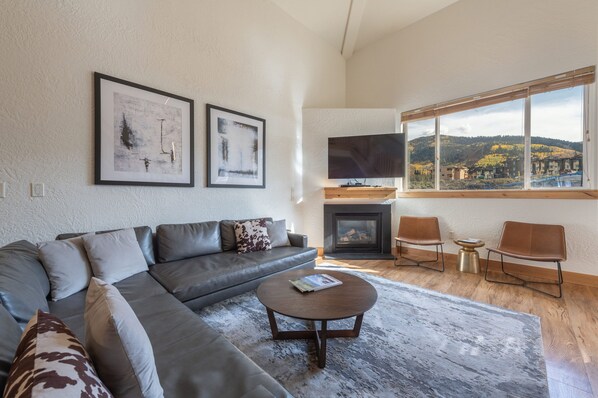 Televisión, chimenea y reproductor de DVD 