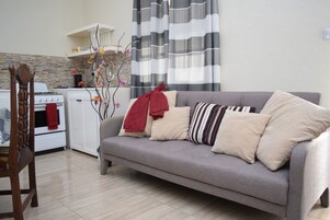 48-inch flat-screen TV with cable channels, TV