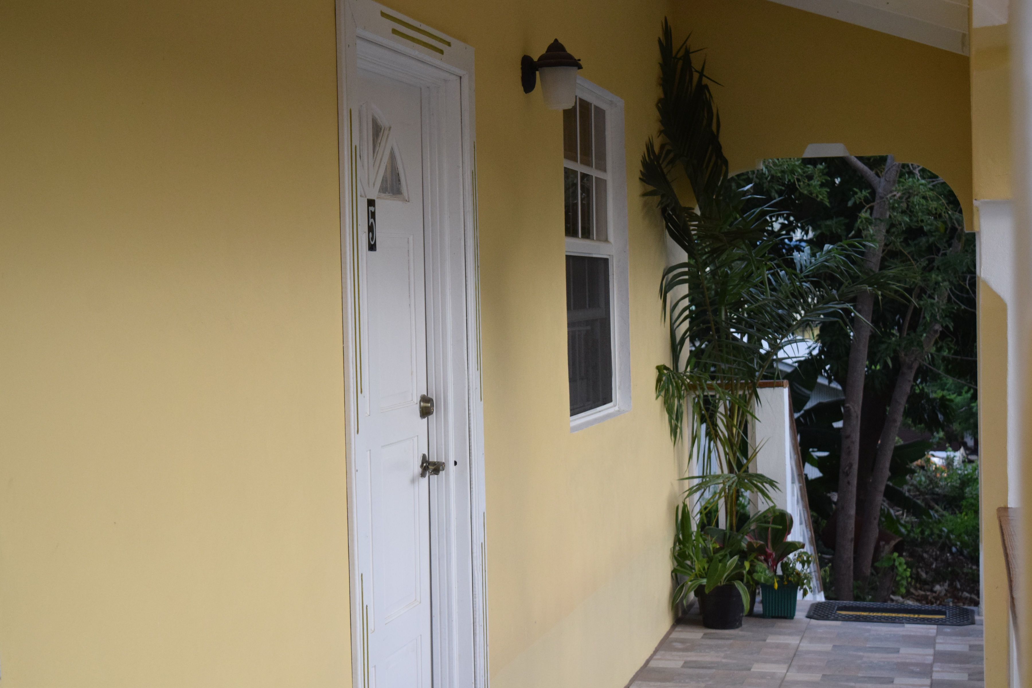 A yellow exterior wall with a white door and a window. There are potted plants and a tree visible.