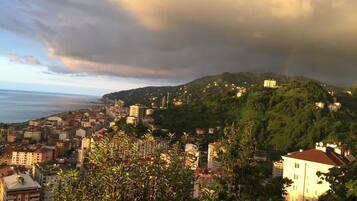 City view from property