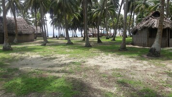 Un entorno tropical con cabañas de techo de paja y palmeras.
