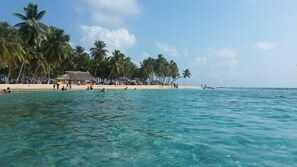 Beach - Cabins in Aguja Island (Narganá)
