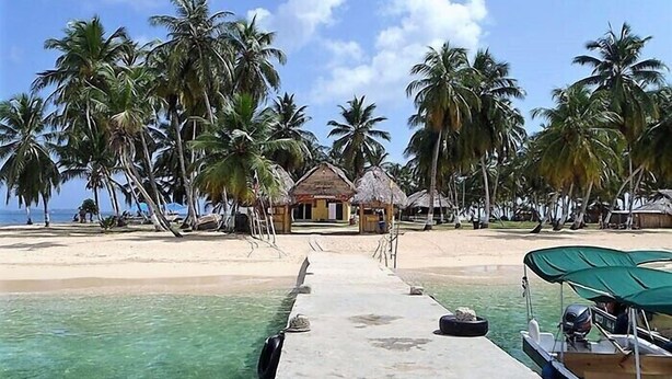 A beachside resort with a thatched-roof hut, palm trees, and a clear view of the ocean. - Cabins in Aguja Island (Narganá)