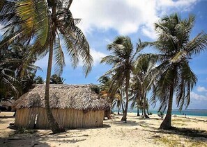 Exterior - Cabins in Aguja Island (Narganá)