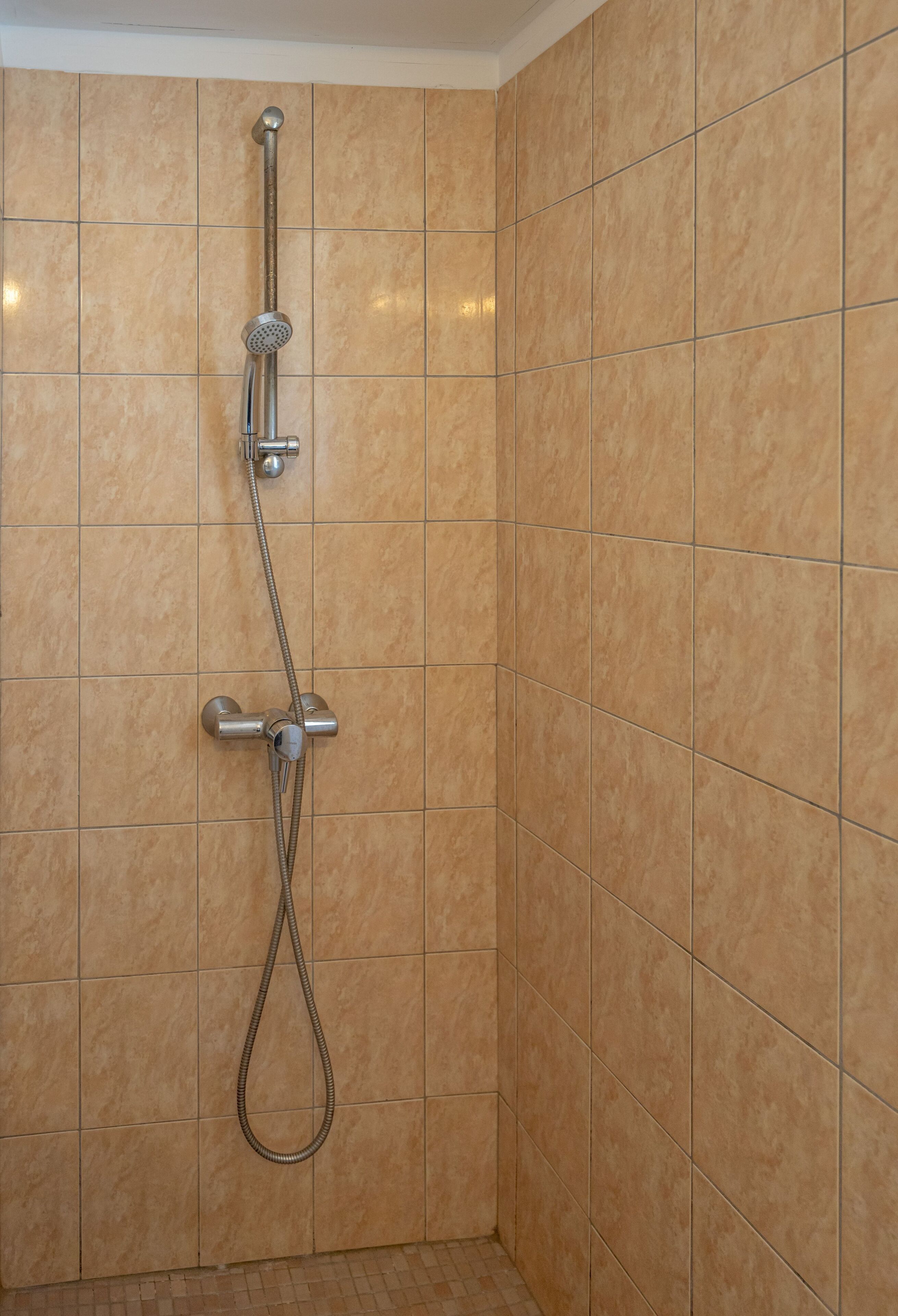 Une douche équipée d’un pommeau de douche à main et d’un pommeau de douche fixe fixé au mur.