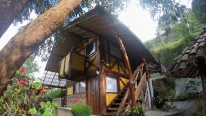 Una casa de madera tradicional con techo inclinado, escalones de piedra que conducen a la entrada y un pequeño jardín con plantas y flores.