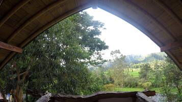 Family Room, Mountain View (Tucan) | Terrace/patio