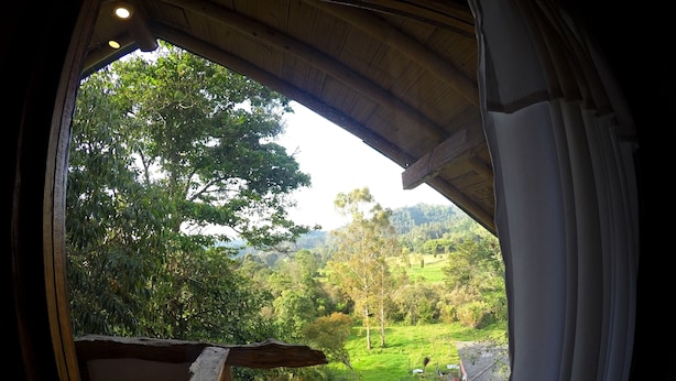 Vista desde una ventana con marco de madera y cortina, que da a un exuberante paisaje verde con árboles y una casa a lo lejos.