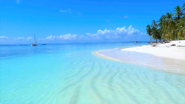 A beach with clear turquoise water, a sandy shore, and palm trees. - Cabins in Chichime Island (Narganá)