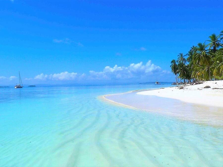 Uma praia com águas turquesa cristalinas, areal arenoso e palmeiras.