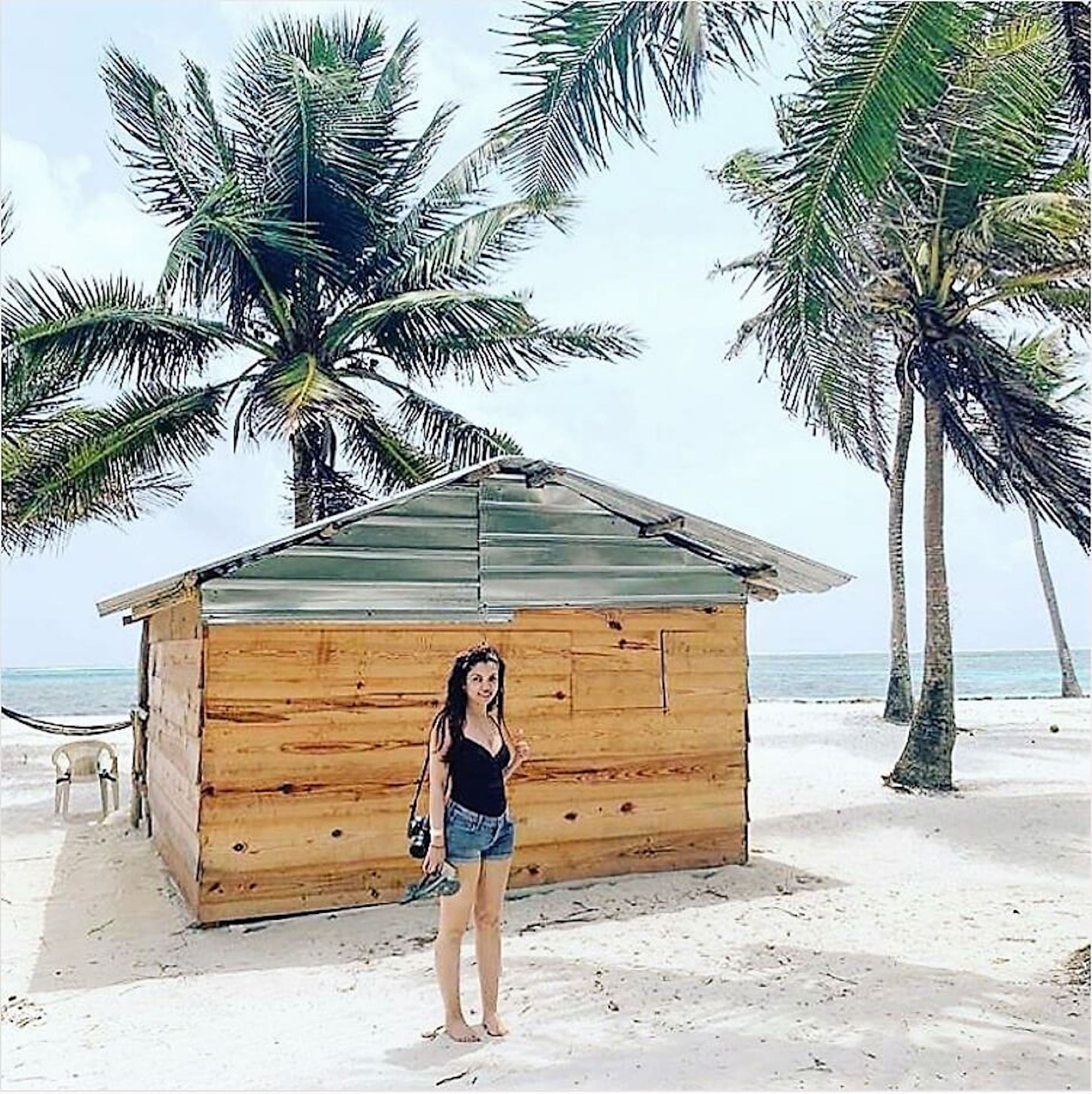 Una cabaña de madera en la playa, con palmeras y el océano al fondo.