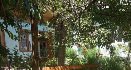 Uytnyi Ugolok Pribregia