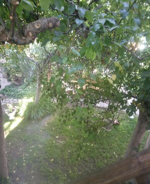 Twin Room, Courtyard View | View from room - Uytnyi Ugolok Pribregia (Cholpon-Ata)