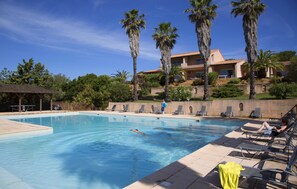 A swimming pool with lounge chairs and palm trees. - Résidence Odalys Stella di l'Aria (Sartene)