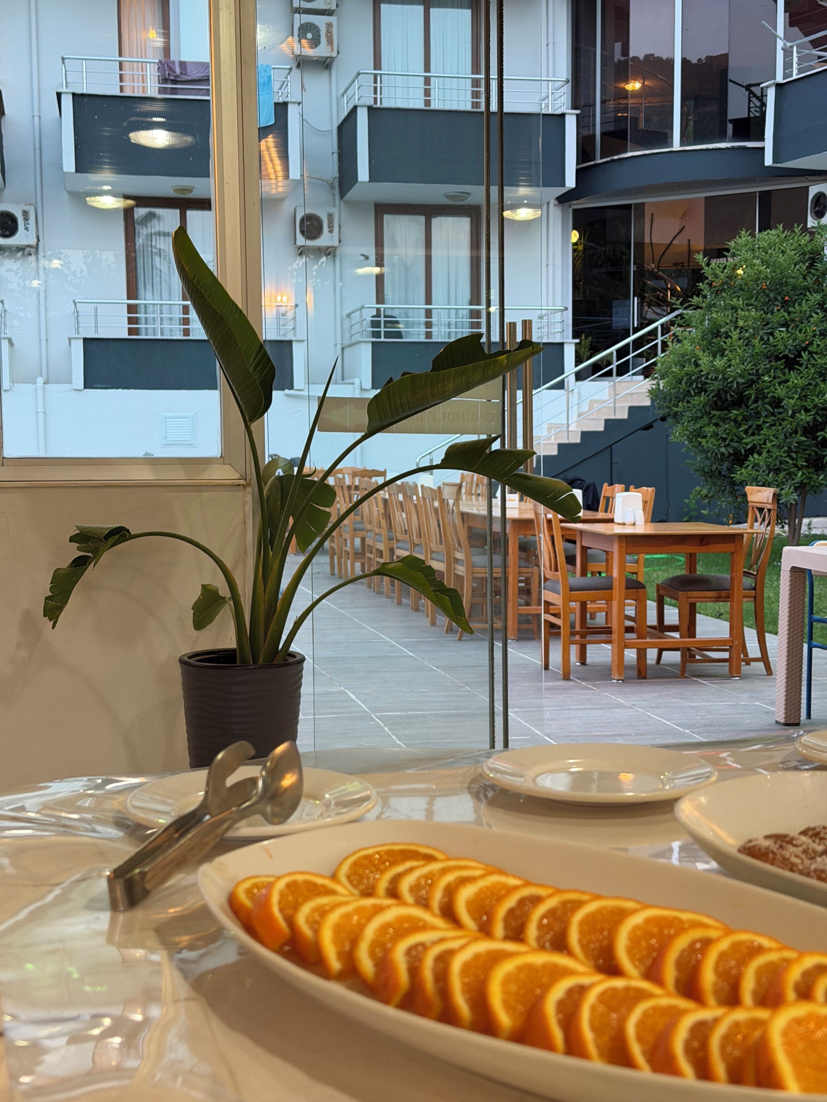 Un comedor con una mesa dispuesta para una comida, una planta en maceta y vista al exterior del edificio.