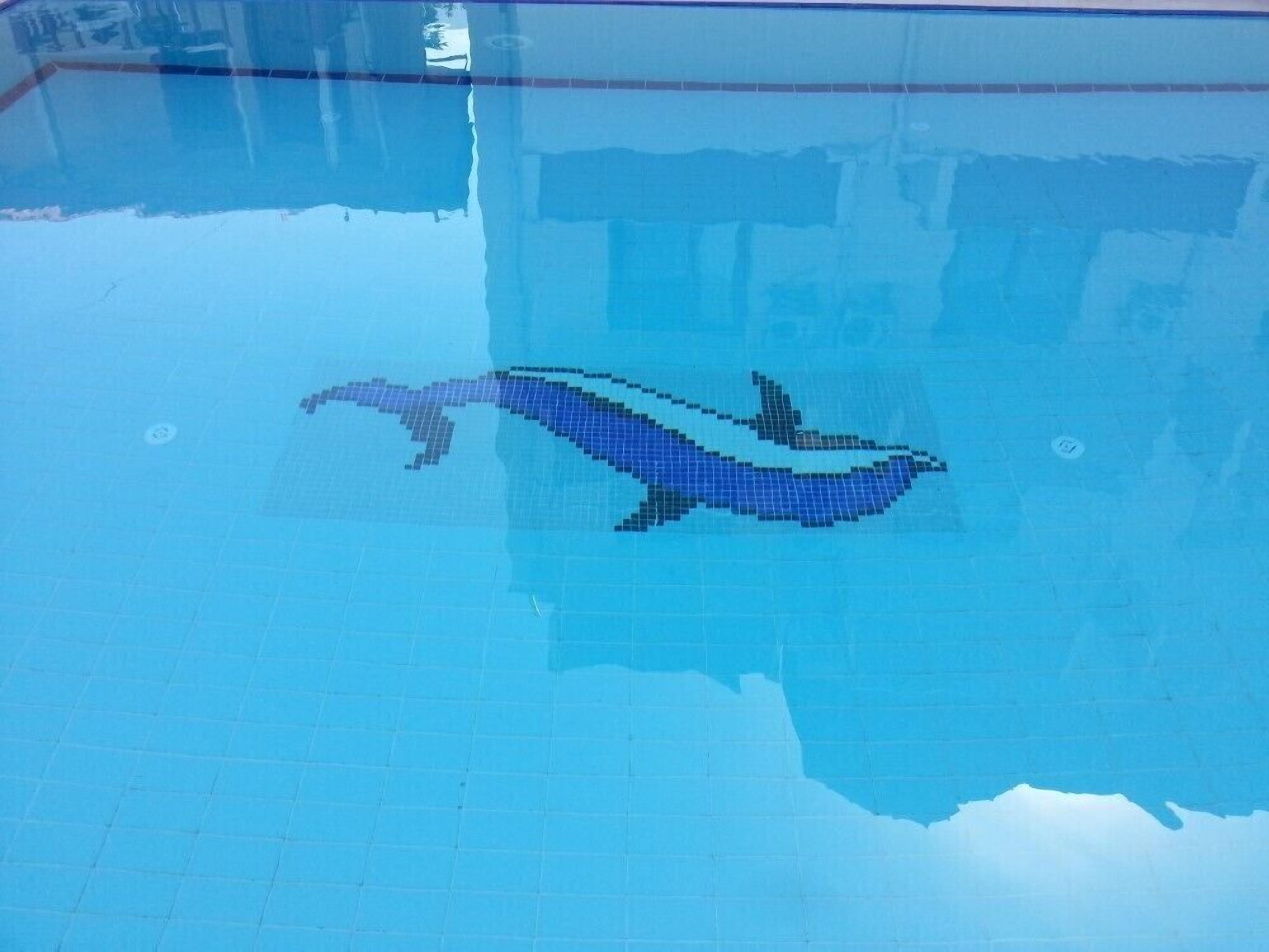 Una piscina al aire libre de temporada, sombrillas, tumbonas