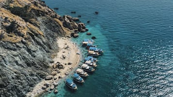 在海灘附近